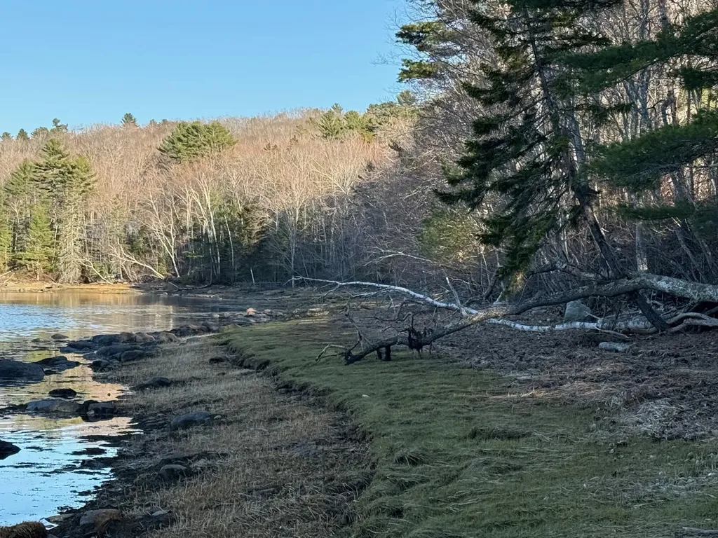 16A Newbury Neck Road Surry ME 04684