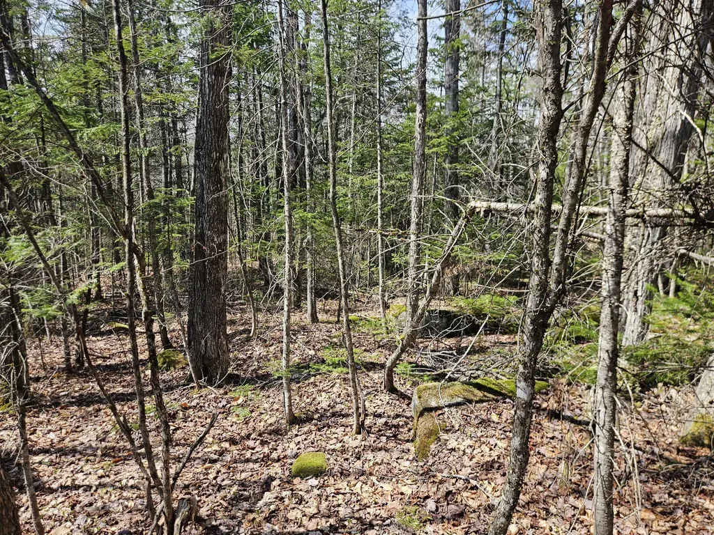 Map 4-47 Merrill Road Willimantic ME 04443