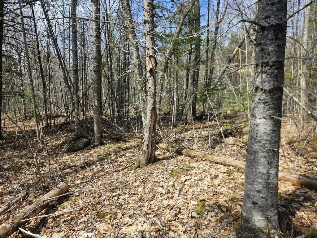 Map 4-47 Merrill Road Willimantic ME 04443
