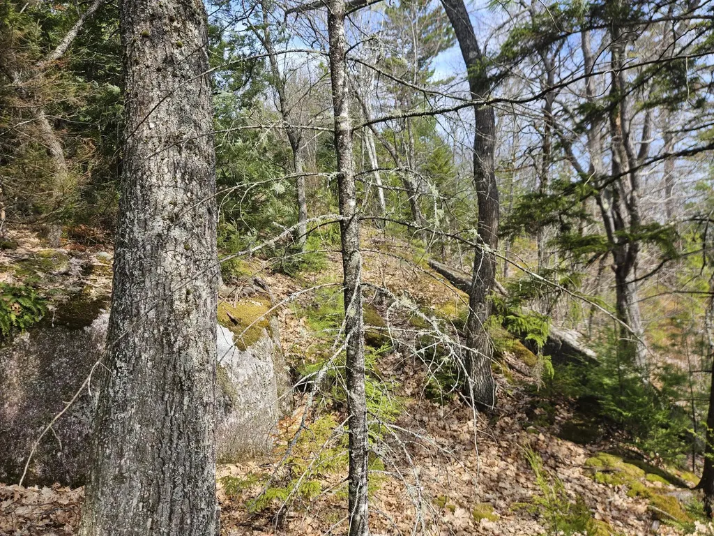 Map 4-47 Merrill Road Willimantic ME 04443