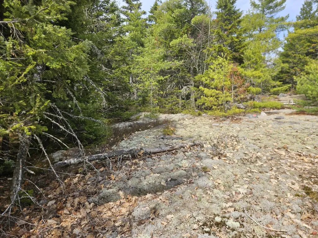 Map 4-47 Merrill Road Willimantic ME 04443