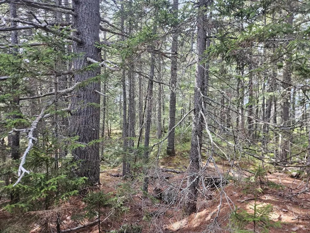 Map 4-47 Merrill Road Willimantic ME 04443