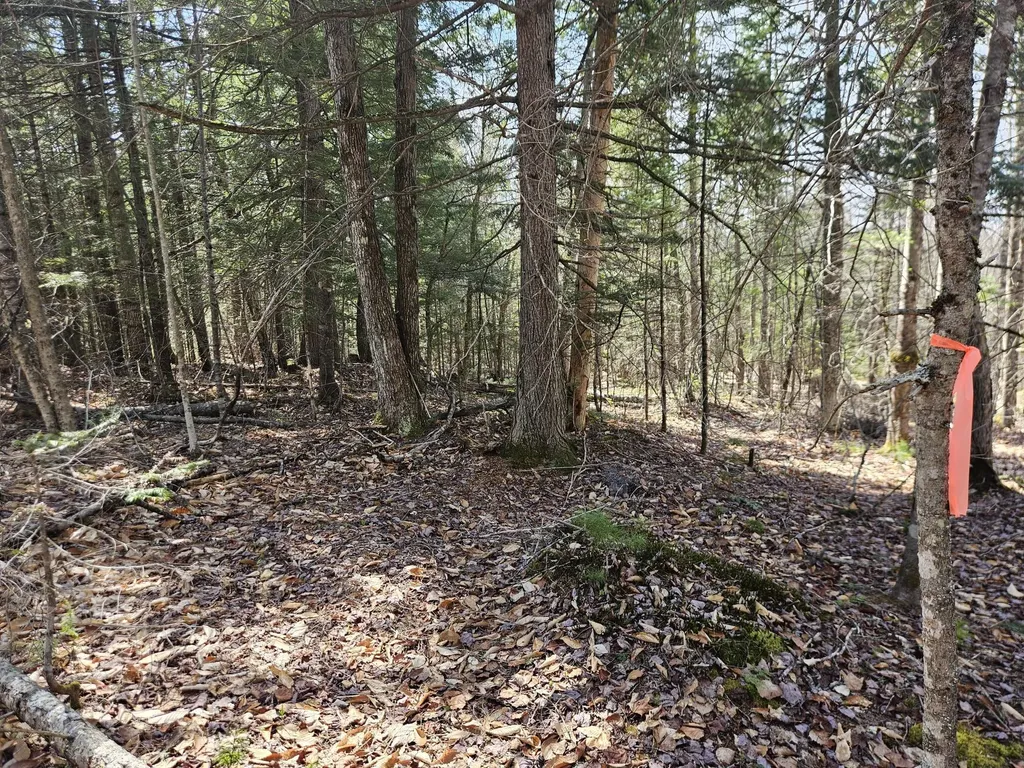 Map 4-47 Merrill Road Willimantic ME 04443