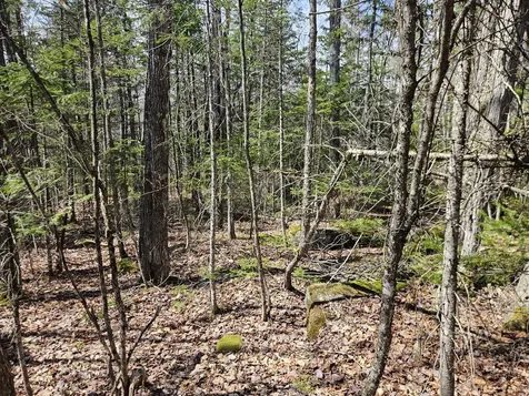 Map 4-47 Merrill Road Willimantic ME 04443