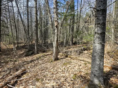 Map 4-47 Merrill Road Willimantic ME 04443