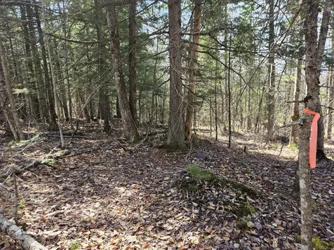 Map 4-47 Merrill Road Willimantic ME 04443