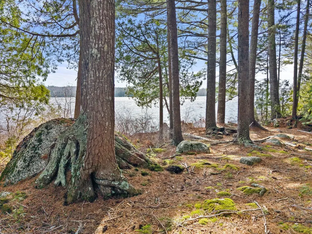 186 Long Point Way Orland ME 04472