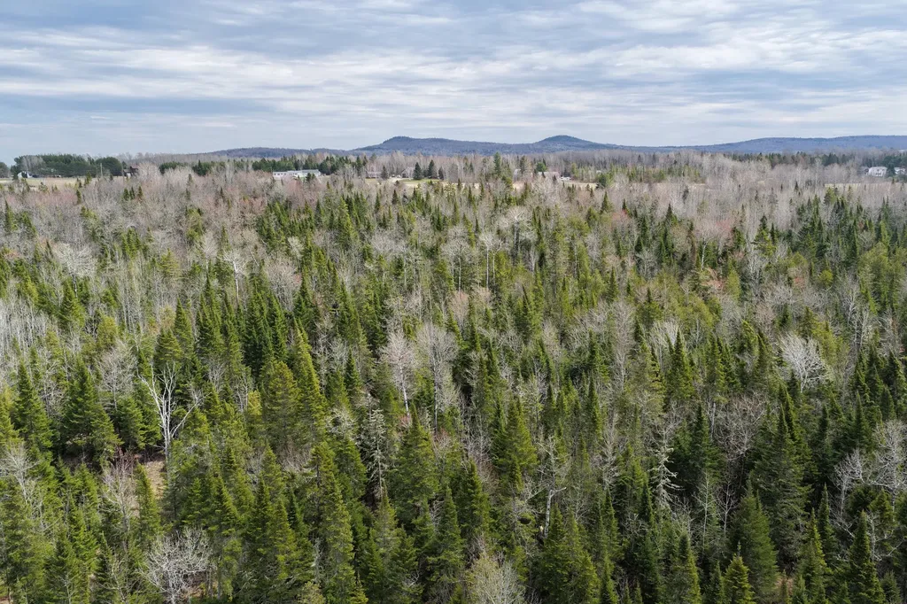 M9 L1-a Chapman Road Chapman ME 04757