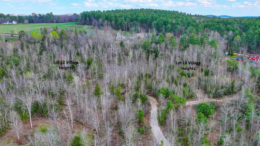 18 Village Heights Harrison ME 04040