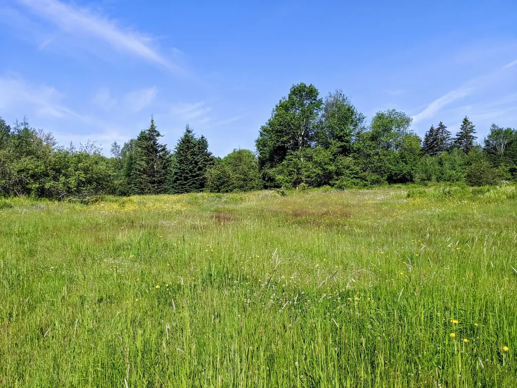 201 Milbridge Road Cherryfield ME 04622