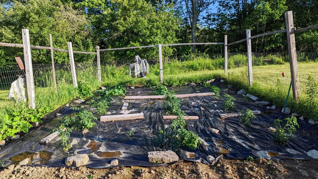 201 Milbridge Road Cherryfield ME 04622