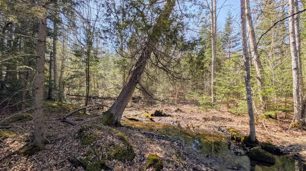 201 Milbridge Road Cherryfield ME 04622