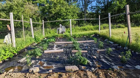 201 Milbridge Road Cherryfield ME 04622