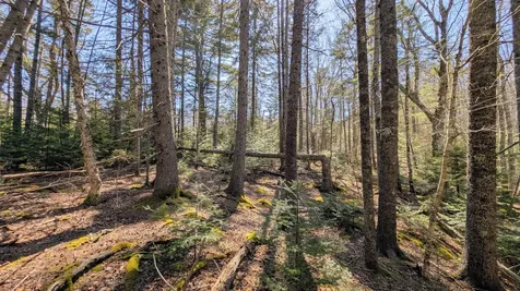 201 Milbridge Road Cherryfield ME 04622