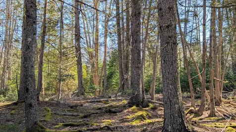 201 Milbridge Road Cherryfield ME 04622