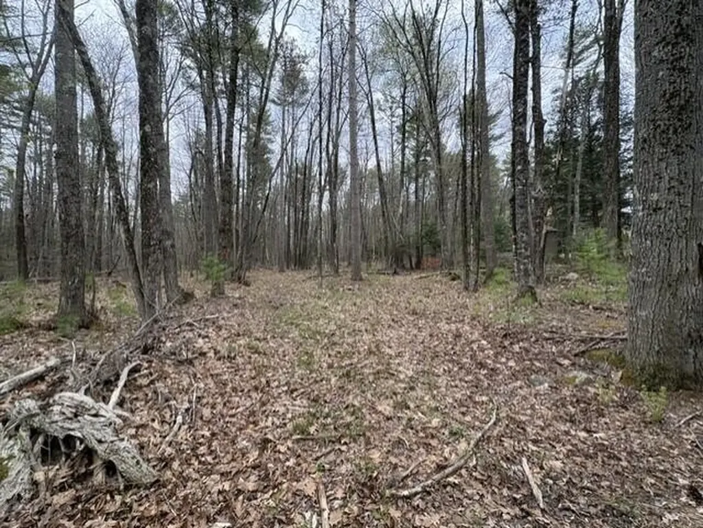 0 Rodrigue Lane Shapleigh ME 04076