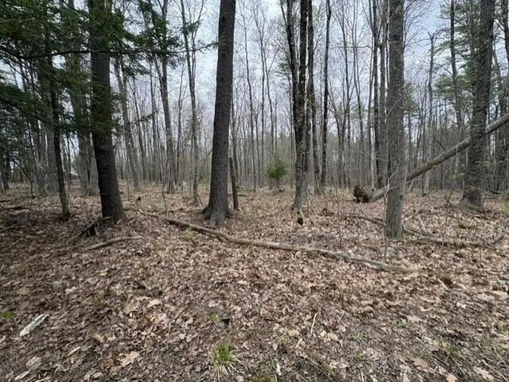 0 Rodrigue Lane Shapleigh ME 04076