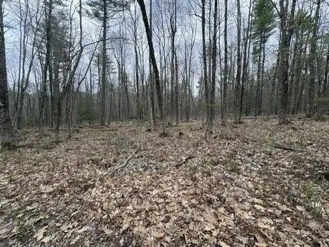 0 Rodrigue Lane Shapleigh ME 04076