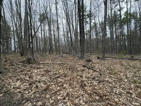 0 Rodrigue Lane Shapleigh ME 04076