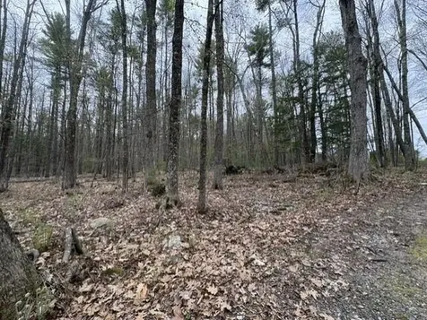 0 Rodrigue Lane Shapleigh ME 04076