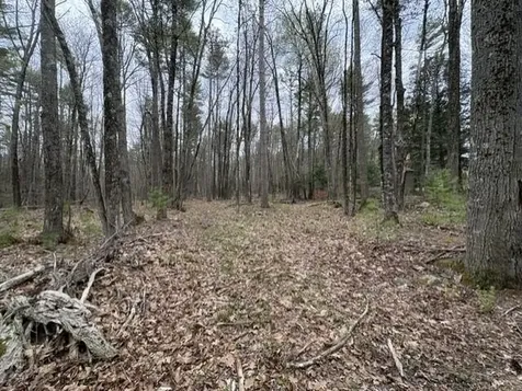 0 Rodrigue Lane Shapleigh ME 04076