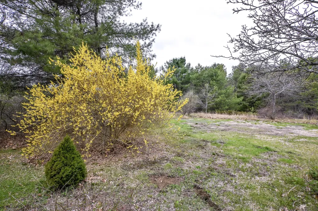 31 Vernon Road Cape Elizabeth ME 04107