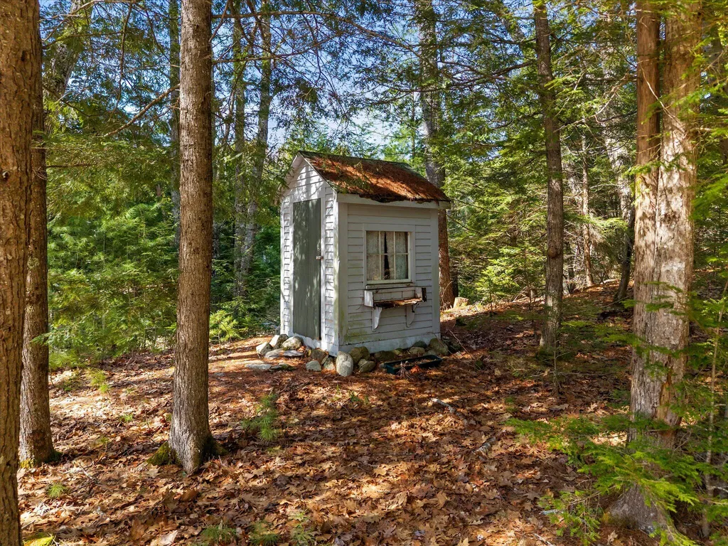154 Woodman Mill Road Lowell ME 04493