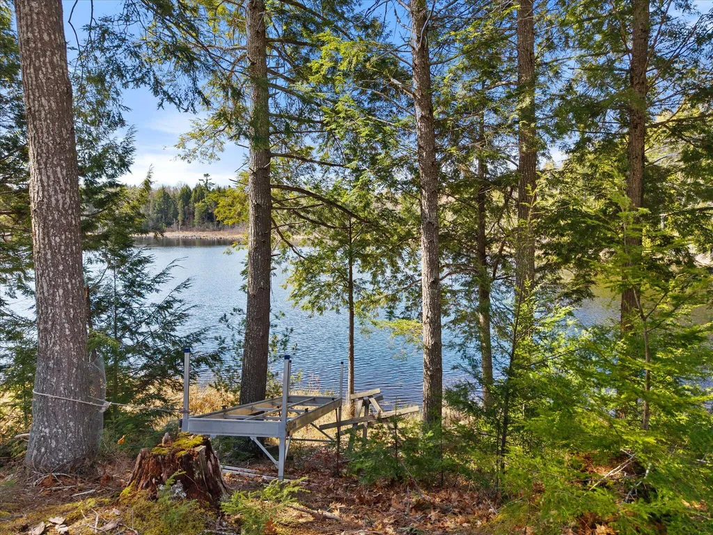 154 Woodman Mill Road Lowell ME 04493