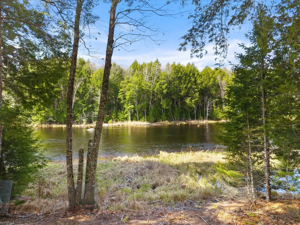 154 Woodman Mill Road Lowell ME 04493