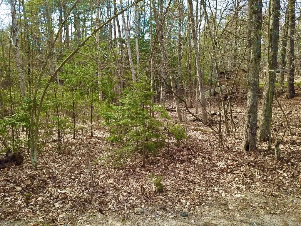 6 Chickadee Lane Sebago ME 04029