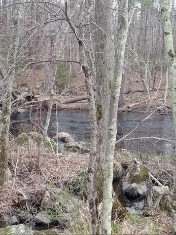 725 Water Street Newfield ME 04095