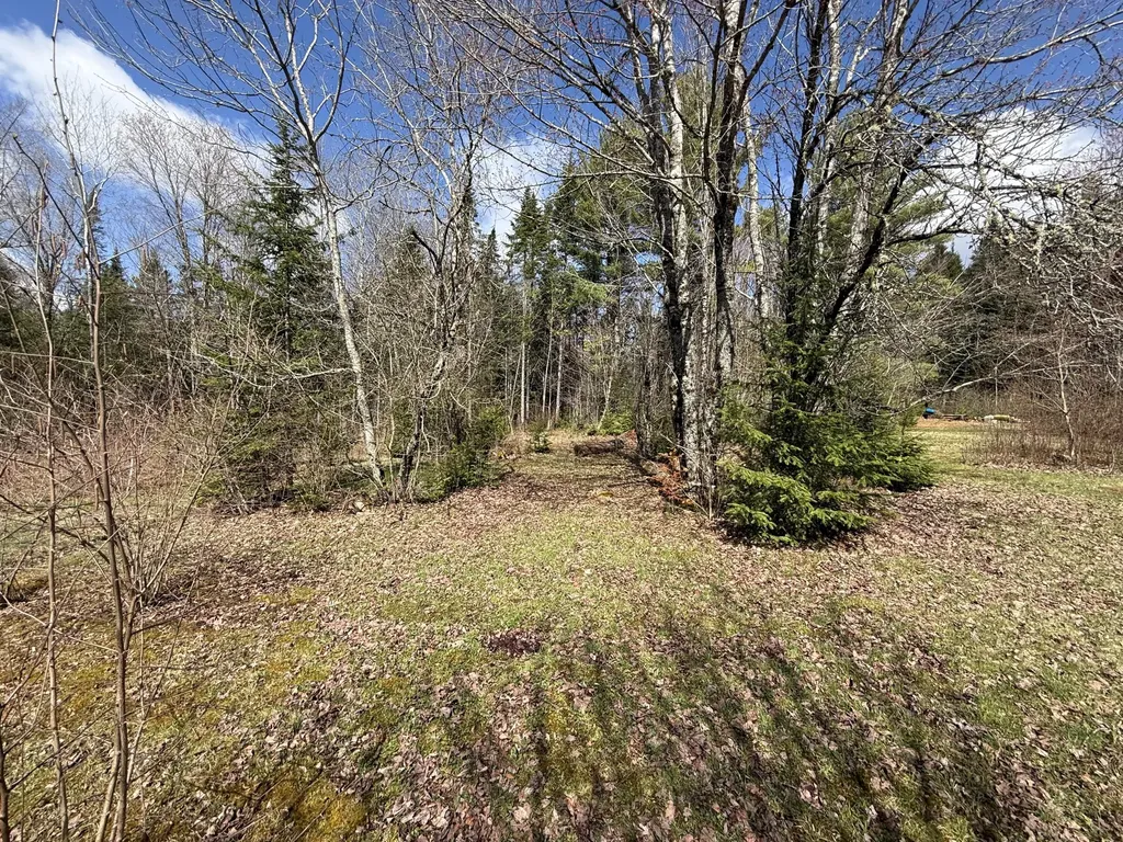 848 Bancroft Road Weston ME 04424