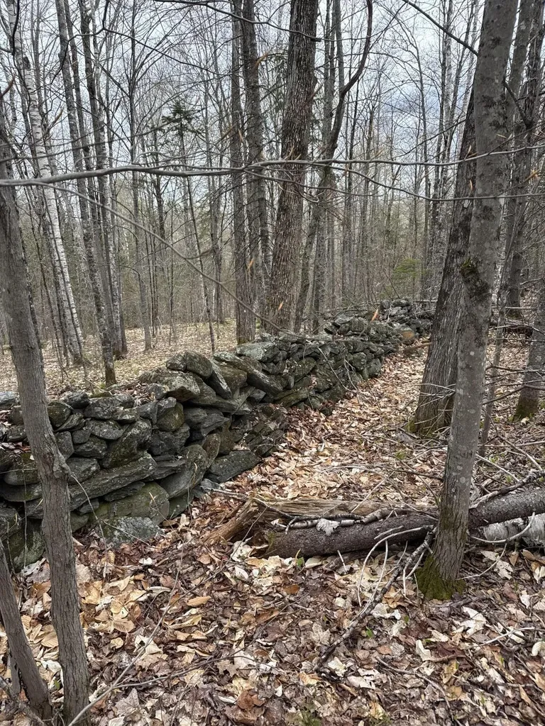 141 Tufts Pond Road Kingfield ME 04947