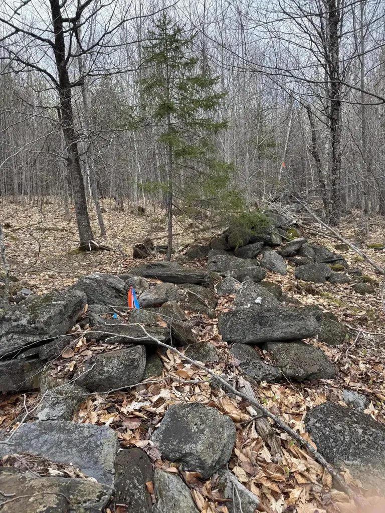 141 Tufts Pond Road Kingfield ME 04947
