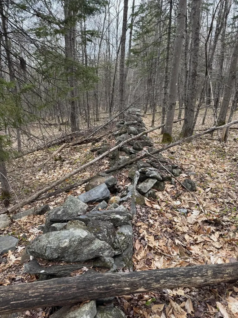 141 Tufts Pond Road Kingfield ME 04947
