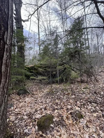 141 Tufts Pond Road Kingfield ME 04947