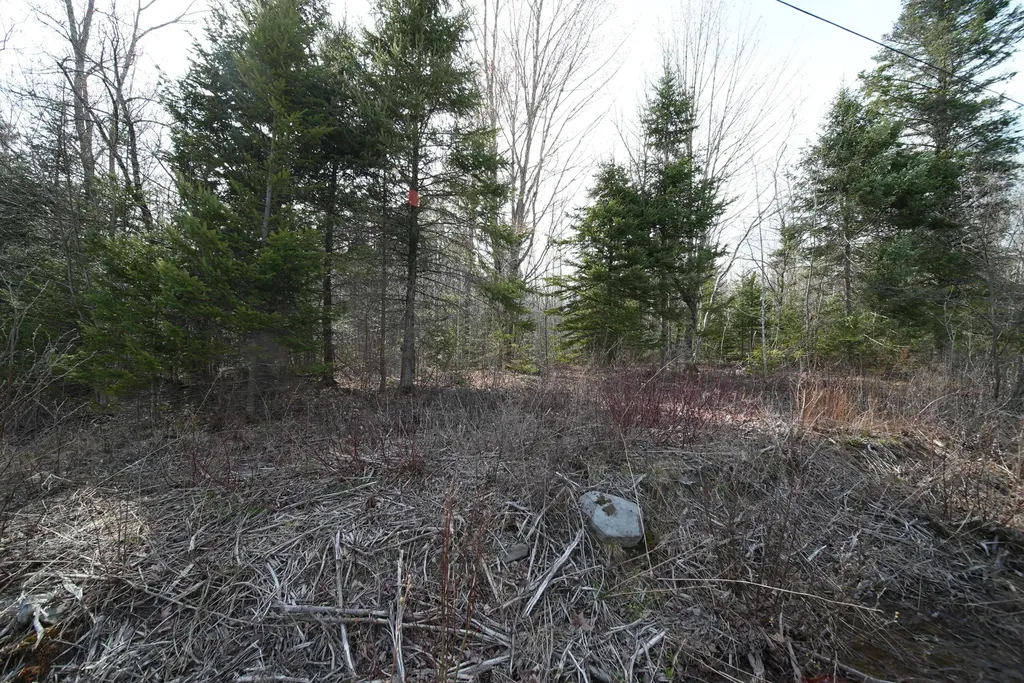 Lot 25 Smyrna Townline Road Smyrna ME 04780