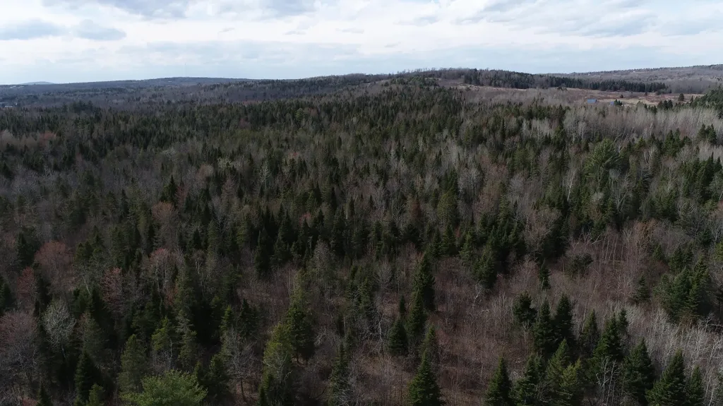 Lot 25 Smyrna Townline Road Smyrna ME 04780