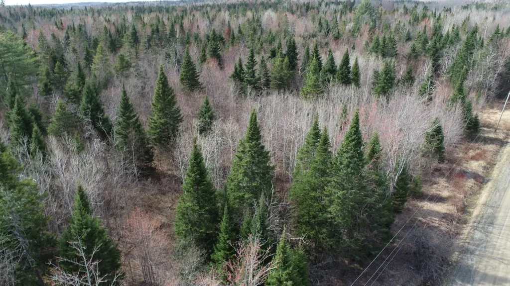 Lot 25 Smyrna Townline Road Smyrna ME 04780