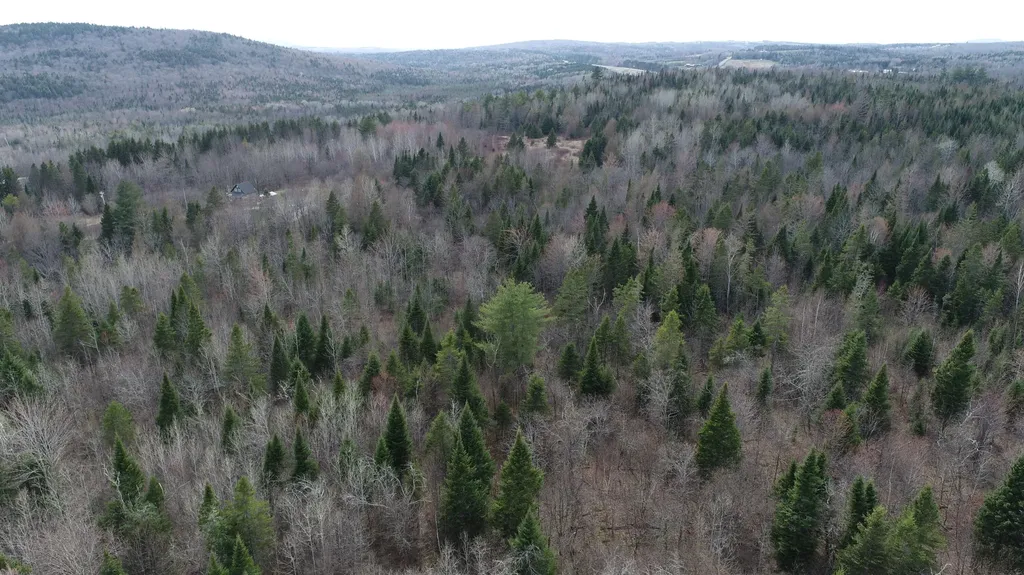 Lot 25 Smyrna Townline Road Smyrna ME 04780
