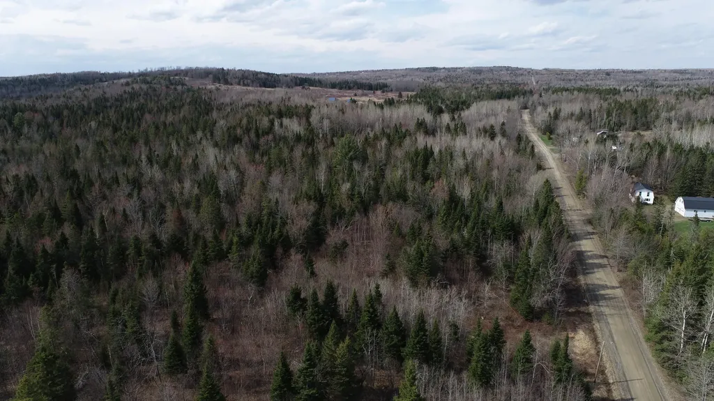 Lot 25 Smyrna Townline Road Smyrna ME 04780