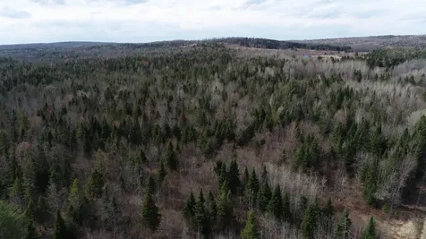 Lot 25 Smyrna Townline Road Smyrna ME 04780