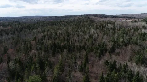 Lot 25 Smyrna Townline Road Smyrna ME 04780