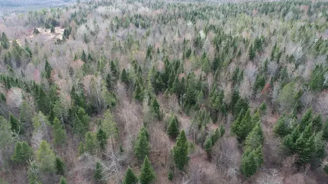 Lot 25 Smyrna Townline Road Smyrna ME 04780