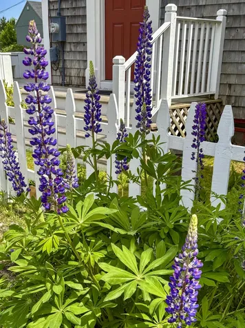194 Water Street Eastport ME 04631