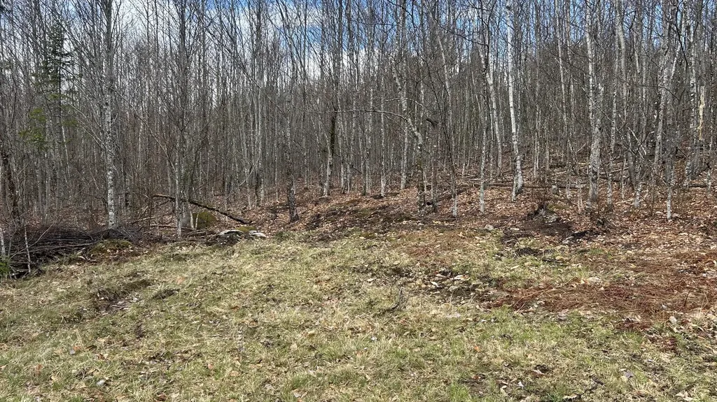000 James Jipson Road Lowell ME 04493