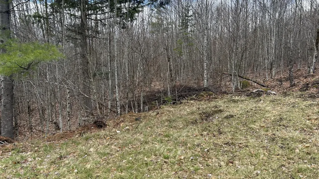 000 James Jipson Road Lowell ME 04493