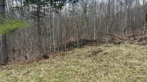 000 James Jipson Road Lowell ME 04493
