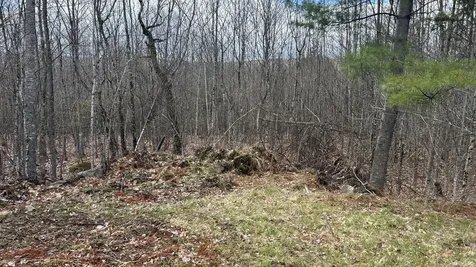 000 James Jipson Road Lowell ME 04493