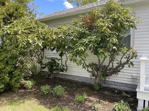 12 Grandview Avenue South Portland ME 04106